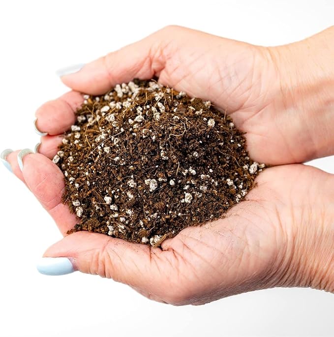 Premium Organic Seed Starter Soil - 10 Quart - All-Purpose Organic Potting Soil for Happy Seedlings and Plants by Gardenera (2 Bags of 5 Quart)