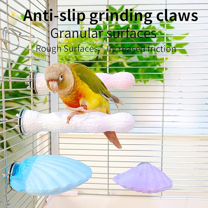 Bird Perches for Cage, Abrasive Surface High Calcium Mineral Parrot Perch Stand - Bird Nail File for Claw & Beak Health, Colorful Ceramic Bird Cage Accessories (Green, Shell)