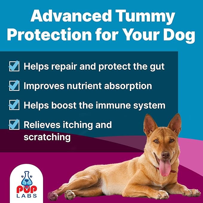 K9 Belly Bliss, All-Natural Gut Health for Dogs, Vet Approved Prebiotic for Dogs for Daily Digestive Support and Dog Constipation Relief, Easy to Use Topper for Dry and Wet Food, 30 Scoops.