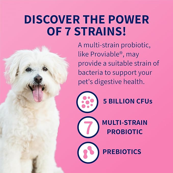 Nutramax Laboratories 30 Count Proviable Health Supplement for Cats and Dogs (PROVDC30)