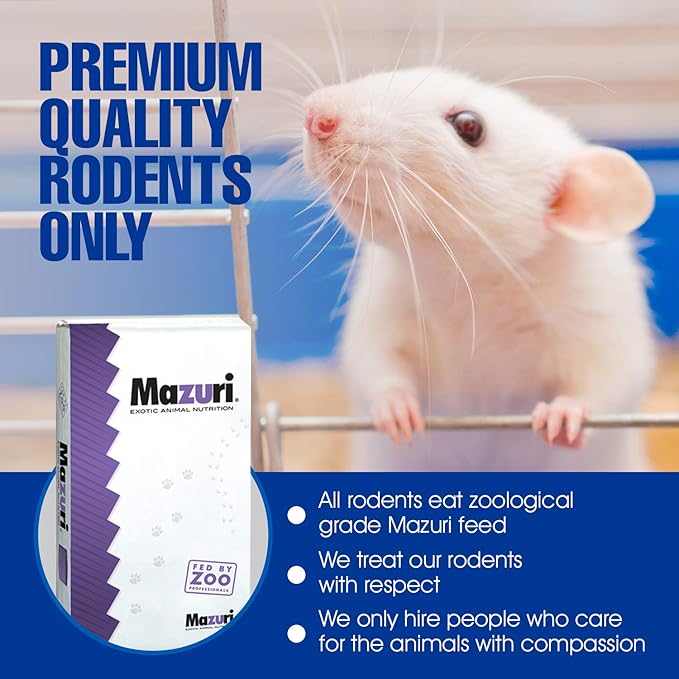 MiceDirect Frozen Rat Combo: Jumbo & Colossal Feeder Snake Food & Monitors, 40 Ounce (4 Count) for Snakes & Reptiles