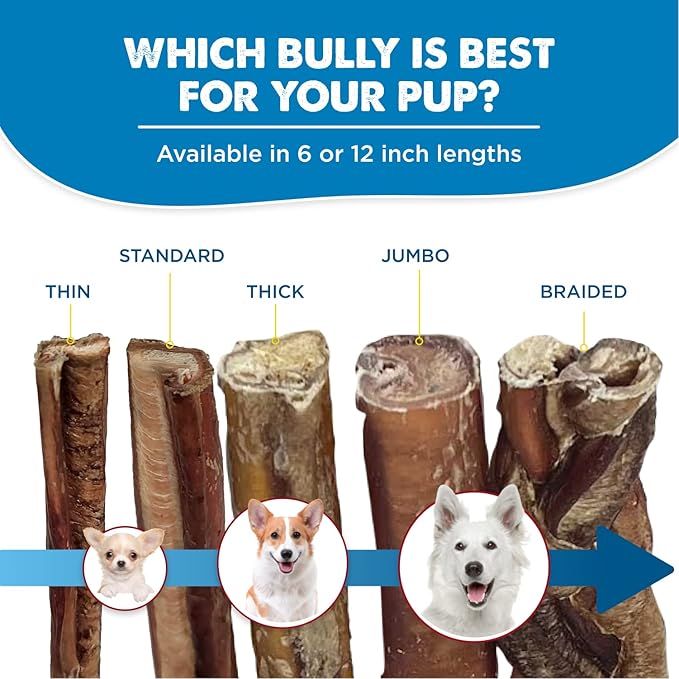 Best Bully Sticks 12 Inch Bully Sticks for Dogs - 50 Count (Pack of 1) - Natural, Easily Digestible, 100% Grass-Fed Beef, Grain and Rawhide Free