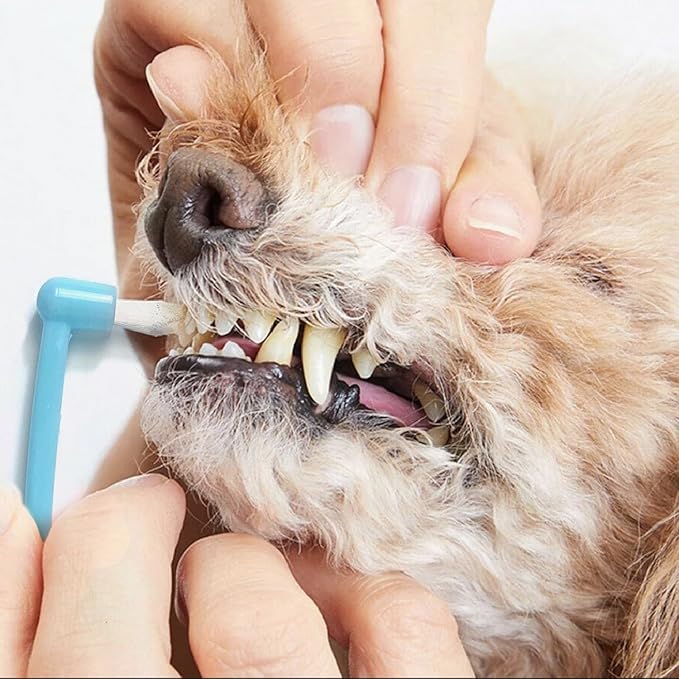 Dog Toothbrush, Finger Toothbrushes, 360 Degree Toothbrush, Triple Head Dog Toothbrushes, Double Head Toothbrush,Cleaning Brushes for Dog Cat Oral Dental Health (Blue, L)