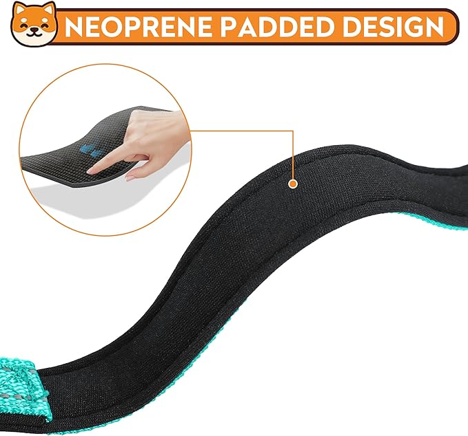 Reflective Dog Collar, Adjustable Soft Neoprene Padded Nylon Pet Collars with Buckle for Large Dogs, Teal,L