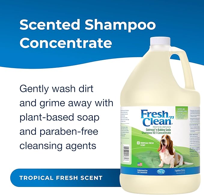 PetAg Fresh ’n Clean Oatmeal ’n Baking Soda Shampoo - Tropical Fresh Scent (10:1 Concentrate) - 1 Gallon - Nurtures Dry, Itchy Skin with Vitamin E & Aloe - Strengthens & Repairs - Soap Free