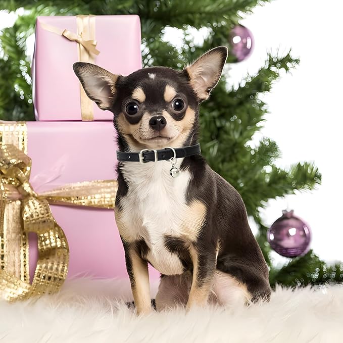 Red Kitten Collar with Bell, Soft Pu Leather Small Dog Collars Adjustable Buckle for XXS XS Extra Small Medium Tiny Female Male Boys Girls Pets Puppy Cats Teacup Yorkie XX-Small