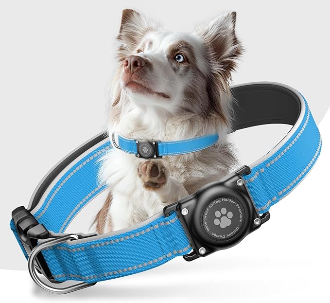 Airtag Dog Collar - 100% Waterproof Air tag Dog Collar Holder for Apple AirTag, Reflective, Soft Padded, Everlasting, GPS Dog Collar for Small Medium Large Dogs (Blue, XL)