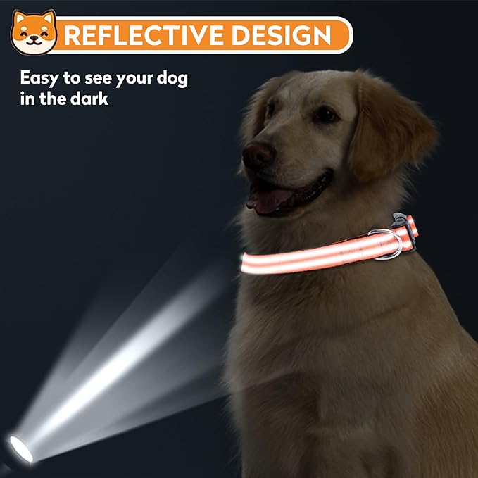 Reflective Dog Collar, Adjustable Soft Neoprene Padded Nylon Pet Collars with Buckle for Small Dogs, Orange,S