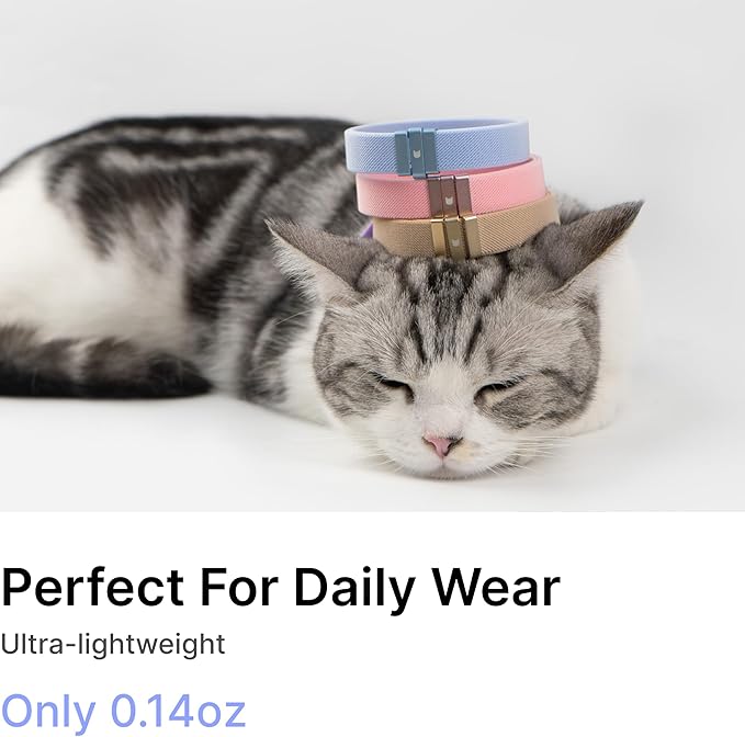 Safety Cat Collar - U.S. IDA Gold Awarding Design, Stretch Elastic Quick Release, Non Breakaway - Light Weight for Kitten, Neck Fit 5.9'-11.8' for All Small Large Cat,S(Armor Blue)