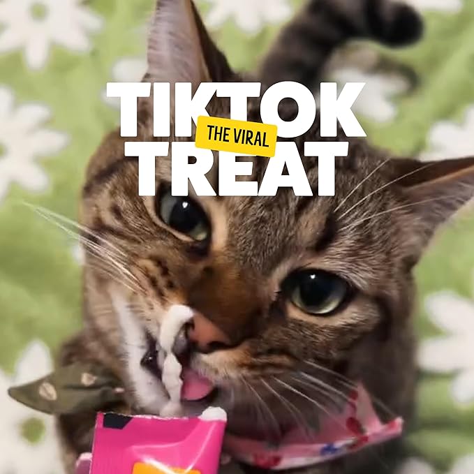 BONKERS Mixx, Wet Lickable Tube Tender Chicken Flavor Cat Treats, Real Meat Treats, Treats for Training or Food Topper, for All Breeds and Ages, Value Pack (15 Pack, 60 Tubes)