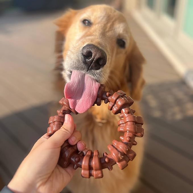 Nylabone Textured Ring Power Chew Toy for Large Dogs, Durable Dog Toys for Aggressive Chewers, Strong Dog Chew Bones To Keep Them Busy, Flavor Medley, X-Large - 50+ lbs, 1 Count