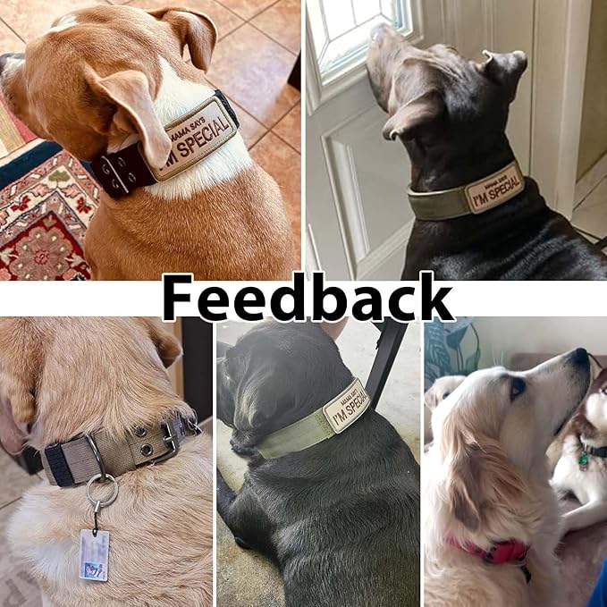 Tactical Dog Collar Military Adjustable Dog Collars Soft Nylon Training Collar with Patch Heavy Duty Metal Buckle Collars for Medium Large Dogs (Blue, M)
