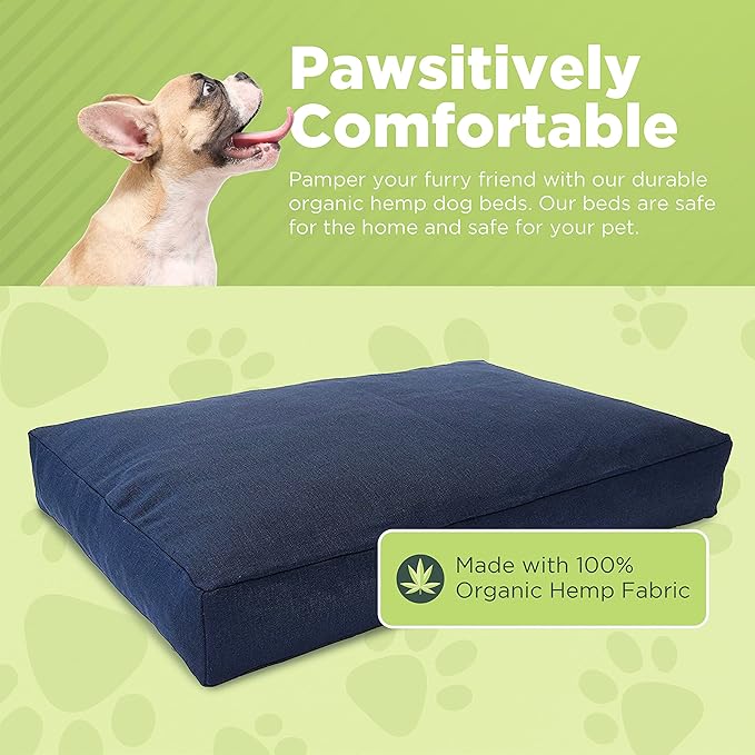X-Large - 48 x 30 x 5 - Cactus Premium Organic Hemp Dog Bed - Organic Latex Fill - Removeable Cover