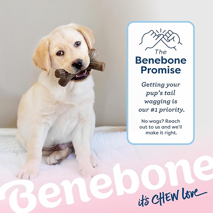 Benebone Puppy Maplestick Dog Chew Toy, Made in USA, Real Maple Wood Flavor, Small, Brown