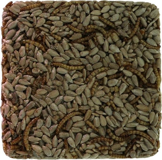 Wild Bird Mealworms & Sunflower Seeds Suet Cakes, High Protein Feed, Pack of 6, Size 4.5"x4.5"x1.0" Poultry Feed, Cattle Feed (4.5"x4.5"x1.0", Mealworms & Sunflower Seeds)