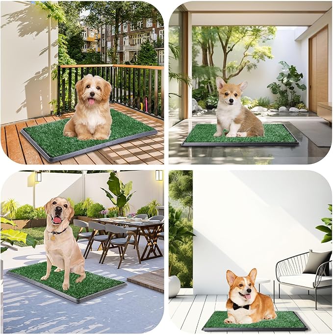 LOOBANI Dog Grass Pad with Tray - Dog Litter Box - Indoor Potty for Apartment and Patio Training - with 2 Packs Grass Pee Pads for Replacement, 16×20 Inch