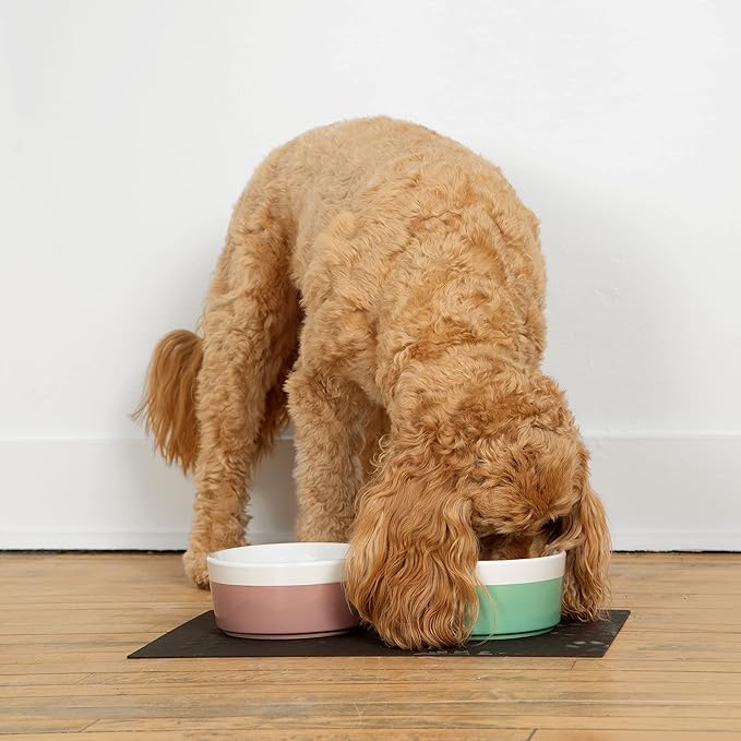 Waggo Dipper Ceramic Dog Bowl for Small and Large Breeds - Heavyweight and Durable Pet Food and Water Dish Crock, Dishwasher Safe, Modern (Large, Buttercream)