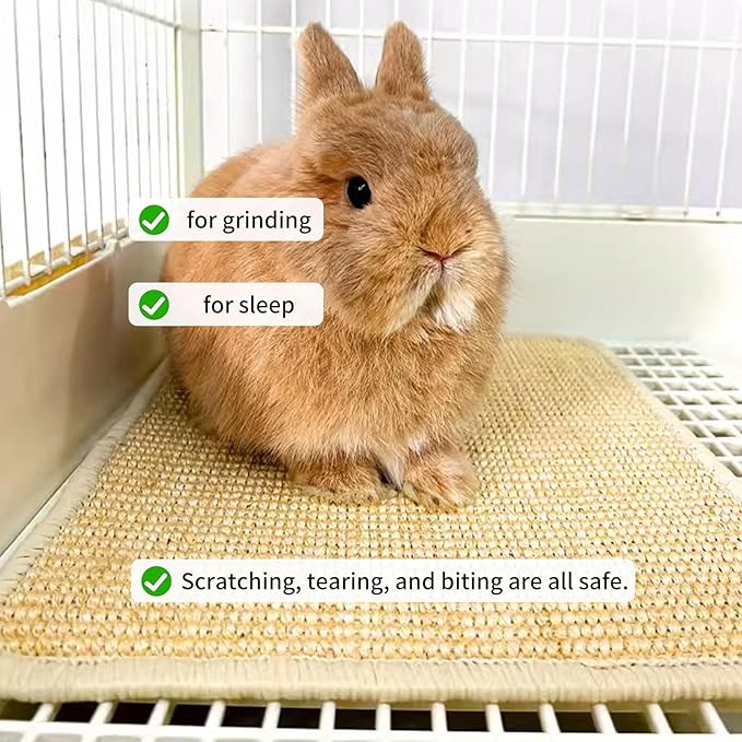 Oncpcare 2PCS Rabbit Scratch Mat Natural Bunny Scratching Pad Claws and Teeth Care Rabbit Mats for Cages Chew Toys for Bunny Pet Cage Bedding for Biting Sleeping Nesting, 16x12
