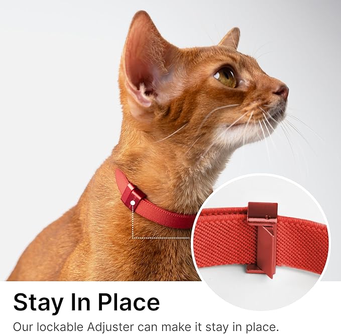 Safety Cat Collar Pro - U.S. IDA Gold Awarding Design, Elastic Quick Release Cat Collar with Buckle Non Breakaway - Lightweight for Kitten All Small Large Cats (Midnight Black, M 7.9-15.7")