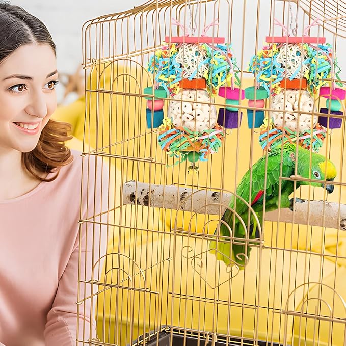 BBjinronjy Bird Toys,2PCS Hanging Natural Soft Sola Ball Beak Chew Shred Forage Toys for Parrots,Cockatiel,Conure,Love Birds,Parakeets,Budgie and Other Small Birds