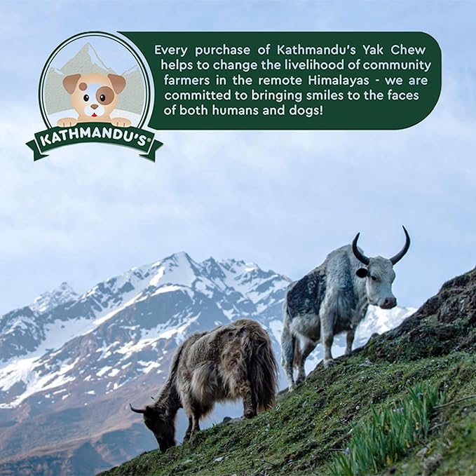 KATHMANDU'S - Authentic Himalayan Cheese Dog Chews - Large, 1-Count - for Improved Dental Hygiene & Protein-Rich Nutrition, No Preservatives