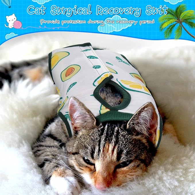 Nuanchu 3 Pieces Cat Recovery Suit Kitten Recovery Suit E-Collar Alternative for Cats and Dogs Abdominal Skin Anti Licking Pajama Clothes Sets(Watermelon Pattern,Medium)