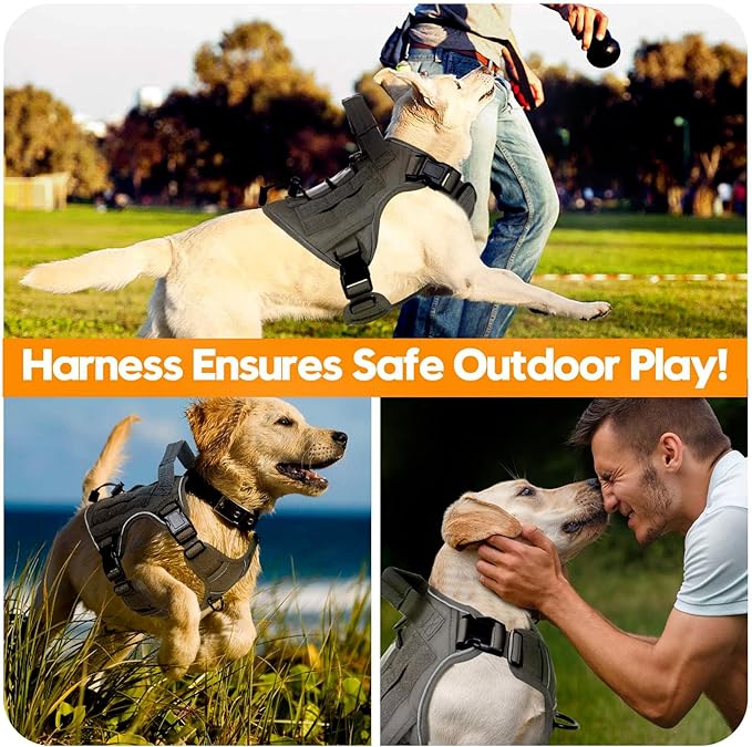 Heavy-Duty Tactical Dog Harness for Large Dogs, No Pull Adjustable Reflective Pet Vest with Molle System, K9 Military-Grade Control for Service Training, Outdoor & 10+ Breeds, Gray, Small