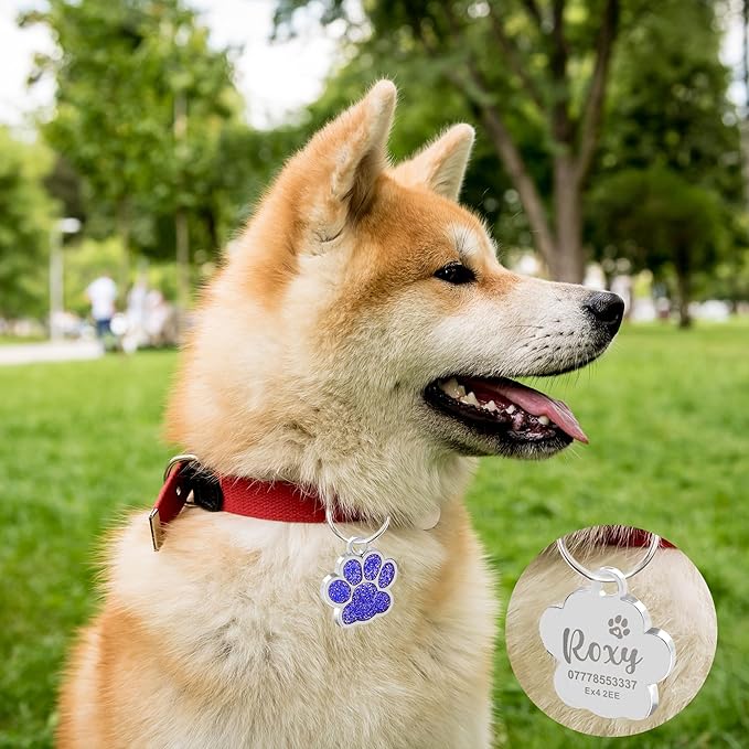 EDSG Cat Dog Tags Personalized for Pets, Dog Name Tags Cat Name ID Tag, Engraved Dog Tags Dog ID Tags Small Glitter Bling ID Tag Paw Print for Cat Pet Dog Puppy(Red,Design 1)
