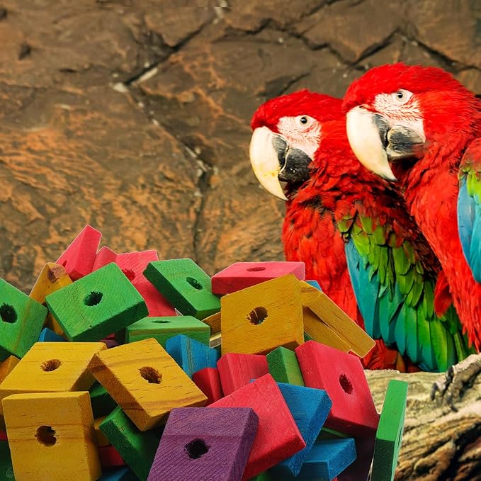 Parrot Toys 100 Pcs Wooden Blocks Bird Chewing Trim Beak Foot Craft Cage Part Mini Wood Chip Charms DIY Playing Chewing Shredding Mixed Large Bird Toys (Pack of 2)