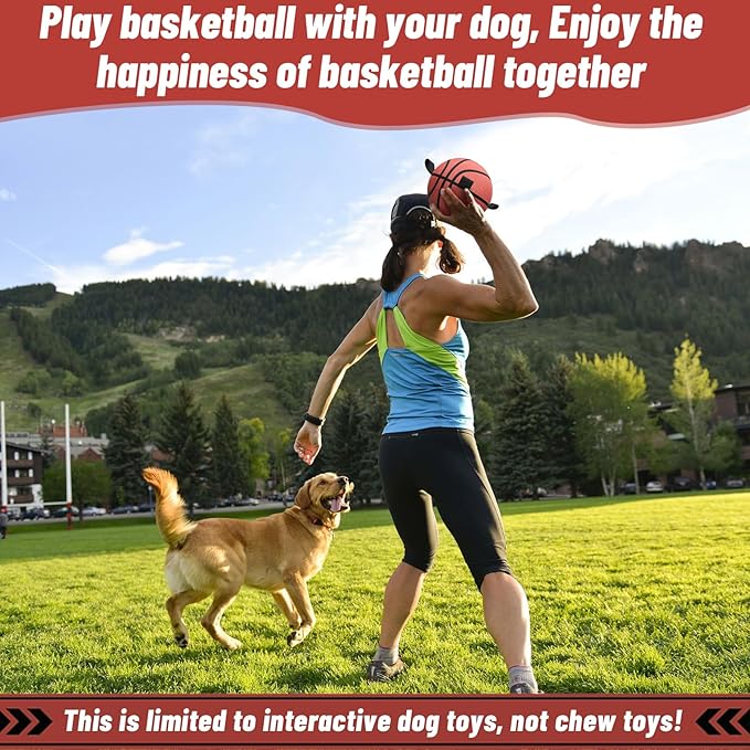 QDAN Dog Ball Basketball Toys, Balls with Straps, Dog Water Toy Pool Toys for Small Medium Dogs (6 Inch)