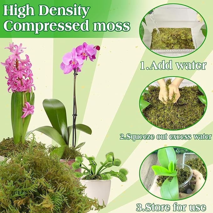 Halatool 2.2LBS Forest Green Moss for Indoor Potted Plants, Orchid Potting Mix, Indoor Potting Plant Moss for Repotting Terrariums Garden Reptiles