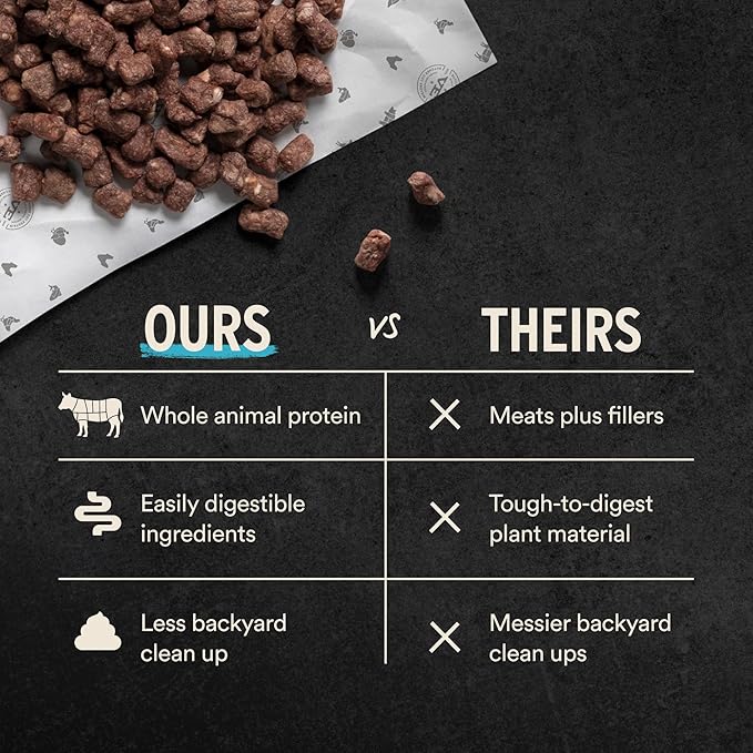 Vital Essentials Freeze-Dried Raw Beef Crunchy Mini Nibs | Complete Meal or Mixer Dog Food | 3 lbs Big Bag