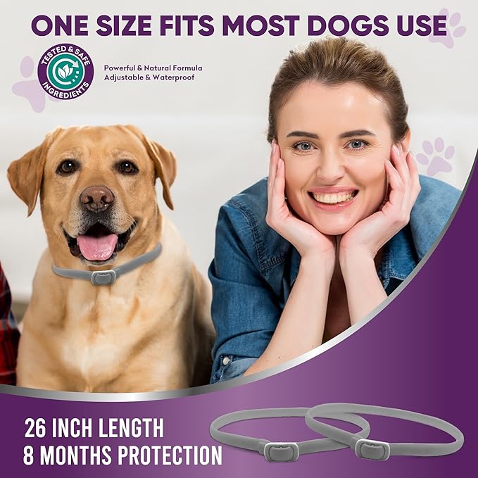 Flea Collar for Dogs – 2 Pack 16 Month Natural Flea & Tick Prevention Dog Flea Collar Adjustable One Size Fits All, Safe and Effective