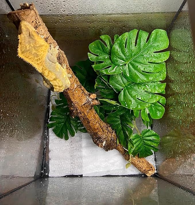 Woyrise Reptile Plants for Terrarium, Artificial Hanging Plants with Suction Cups, Amphibian Tank Habitat Decor Plastic Plant for Bearded Dragons Lizards Snake Geckos Frogs - 2Pack Fake Monstera