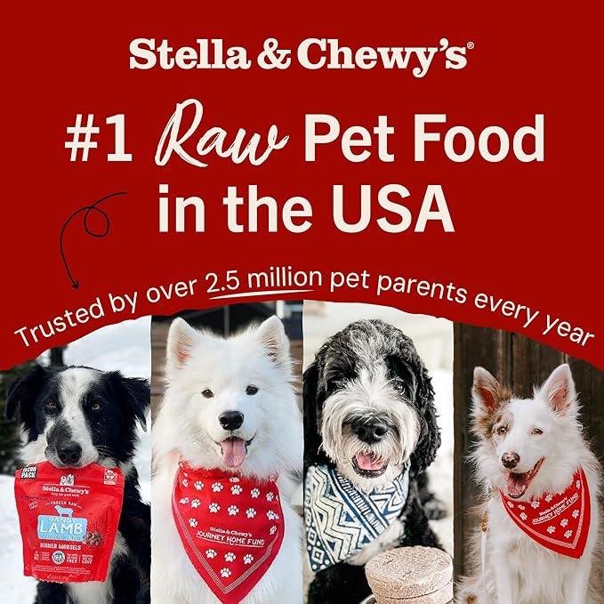 Stella & Chewy's Freeze-Dried Raw Dinner Patties - Dandy Lamb Recipe - High Protein Grain-Free Puppy & Dog Food - Perfect For Picky Eaters - 25 oz