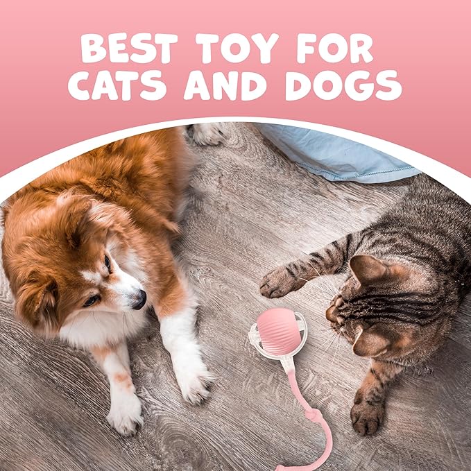 Pawlo Speedy Tail 2.0 Cat Toy –Teazys Turbo Tail Upgrade – Interactive Cat Toy – Kitten Toys – Automatic cat Toy for Boredom – Moving cat Toys for Indoor Cats with 2 Tails (Pink)