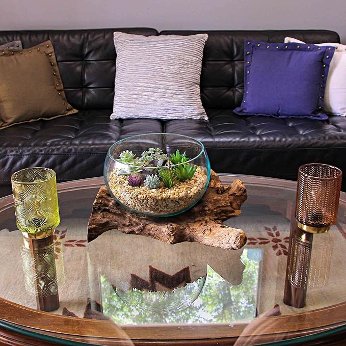 Things2Die4 Blown Melted Glass Decorative Bowl Mini Terrarium On Teak Driftwood Base,Brown