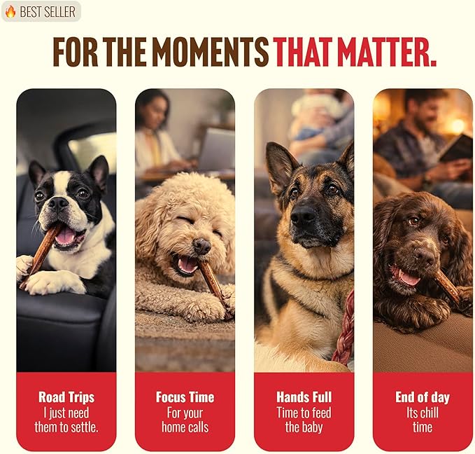 Natural Farm Odor-Free Braided Bully Sticks (6 Inch, 5 Pack) - 100% Grass-Fed Beef, Grain-Free, Low Fat & Fully Digestible Best Dental Treats - Safest Long Lasting Pizzle Chews to Keep Your Dog Busy
