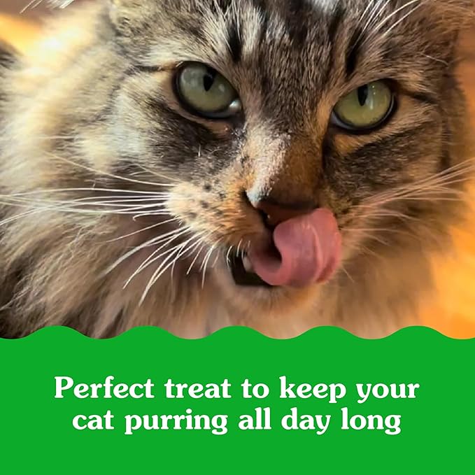 Greenies Feline Smartbites Healthy Indoor Cat Treats, Chicken Flavor, 2.1 oz. Pack
