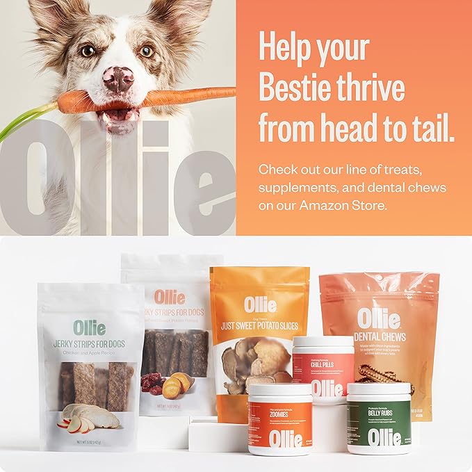 Ollie Dental Chews for Medium Dogs, 12 Oz, Fresh Breath, Teeth Cleaning Treats, Sticks for Dog Oral Care, with Parsley and Cinnimon, for Pups 26-50 lbs