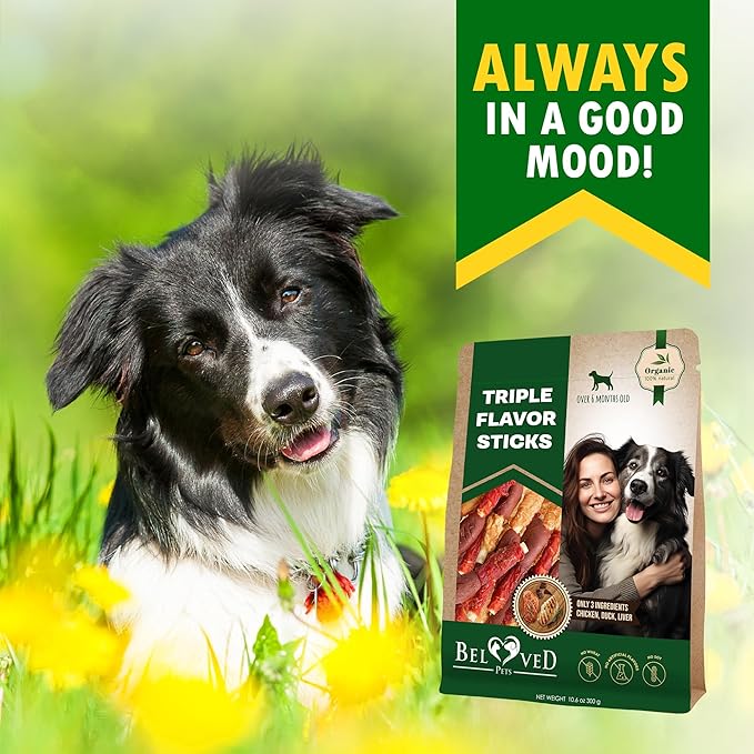 Dog Treats Rawhide Sticks Wrapped with Chicken 11 oz Pet Natural Chew Treats - Grain Free Meat & Human Grade Dried Snacks - Best for Small & Large Dogs (10.6 Ounce (Pack of 1), Triple Sticks)