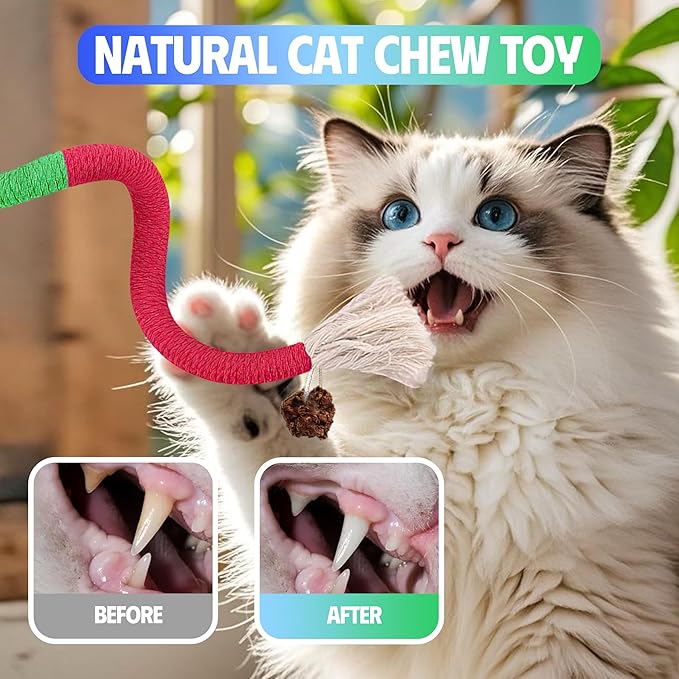 Cat Toys Chew Rope & Silvervine Sticks for Bored Indoor Adult Cats, 2Pcs Interactive Catnip Toys for Cats with Refillable Natural Catnip Bag for Teeth Cleaning