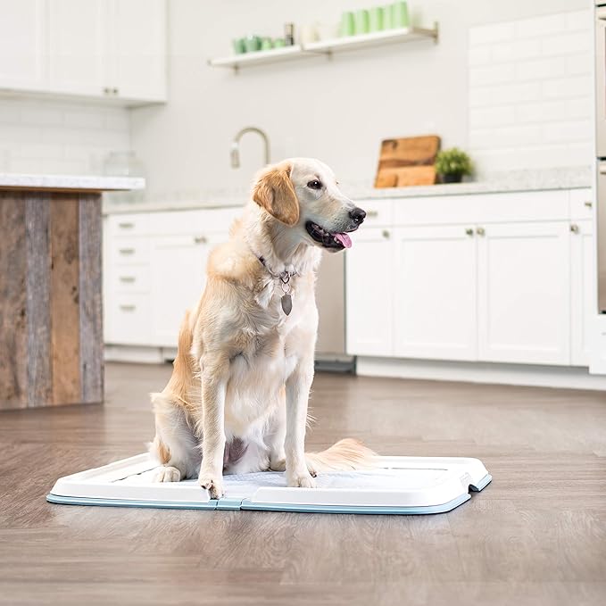 IRIS USA Pee Pad Holder - For Large Sized Puppy and Puppy Training Pads, Secured Latches, Non-Skid Feet, High Polish Finish for Easy Cleaning, Leak Protection, Fits 28"x 34" Pad or Larger, Square, Blue