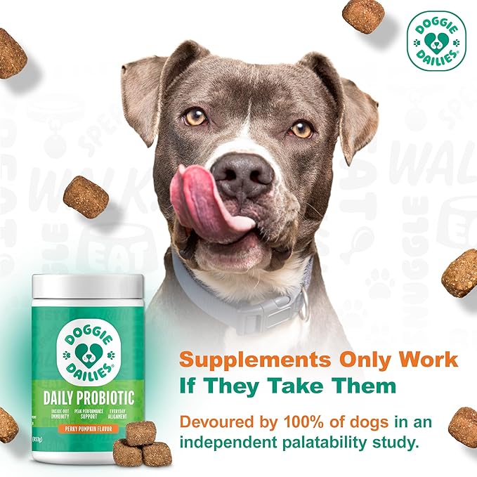 Doggie Dailies Probiotics for Dogs - Advanced Dog Probiotics with Prebiotics - Promotes Digestive Health - Supports Immune System and Overall Health (Pumpkin) 225 Soft Chews