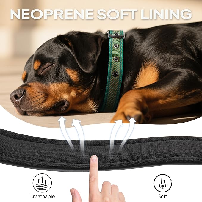 PetiFine Dog Collar for Large Dogs, Neoprene Padded and Adjustable, Reflective Wide Heavy Duty Pet Collars with Durable Metal Belt Buckle for Walking, Teal&Orange, M