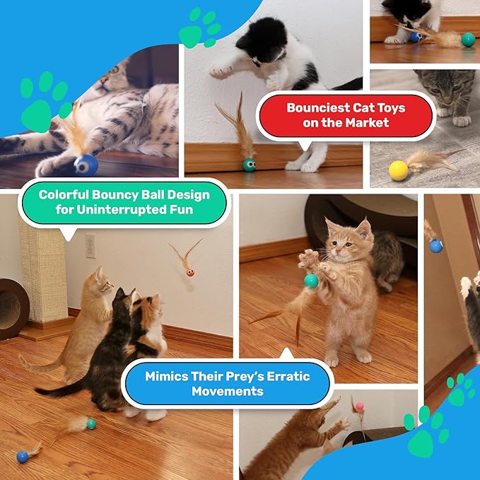 Bouncy Tails 5 Pack Interactive Bouncy Ball with Natural Feathers for Indoor Cats and Kittens who Love to Play and Have Fun.