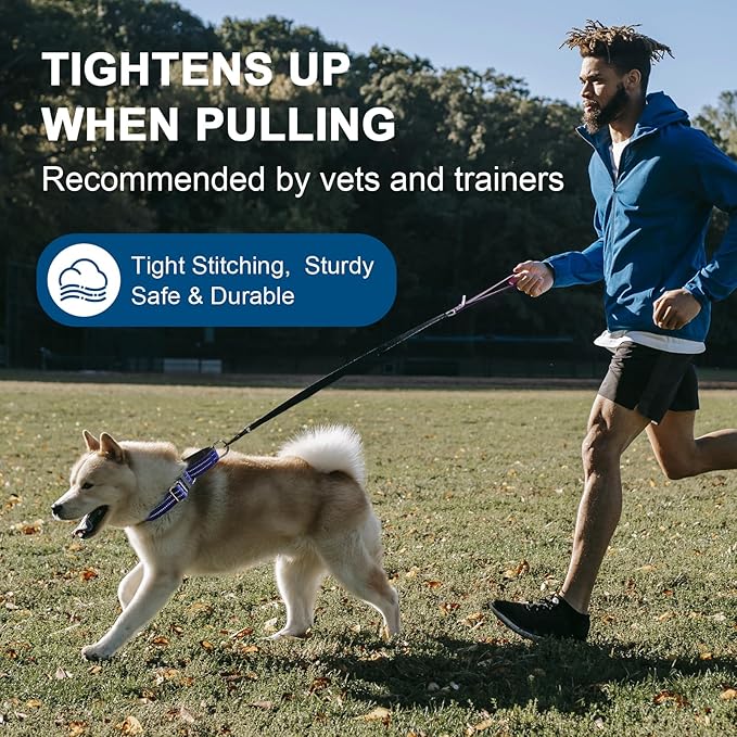 Martingale Dog Collar, Adjustable Nylon Reflective Collar with Quick Release Buckle (Royal Blue, Medium)