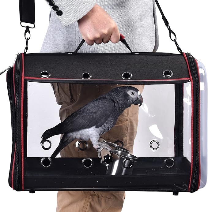 Colorday Lightweight Bird Carrier for Travelers, Bird Travel Cage with Parrot Feeder Cups & Standing Perch and Tracy (Large 19 x 12 x 13 inch, Black)