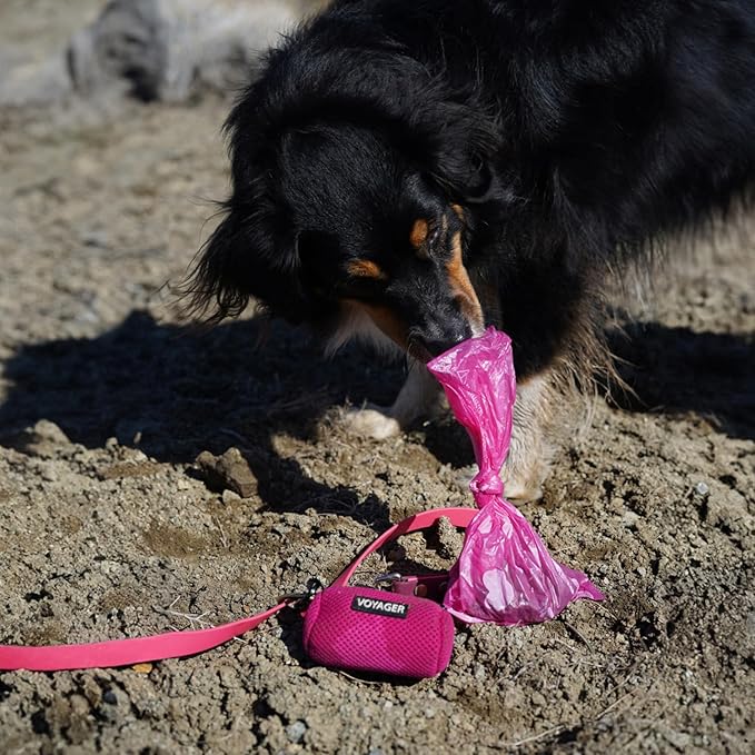 Best Pet Supplies Dog Poop Bags (360 Bags) for Waste Refuse Cleanup, Doggy Roll Replacements for Outdoor Puppy Walking and Travel, Leak Proof and Tear Resistant, Thick Plastic - Pink Heart