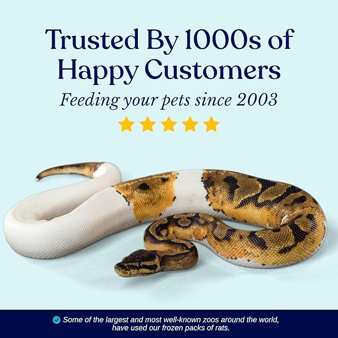 MiceDirect 20 Frozen Rat Fuzzies Feeders Snake Food for Adult Corn Snakes Ball Pythons (2-2.5 in)(180 Grams Min) (20 Count)
